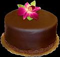 gateaux (3)